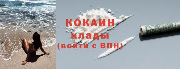 сатива Няндома