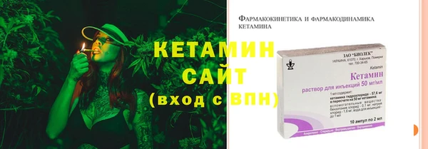 сатива Няндома