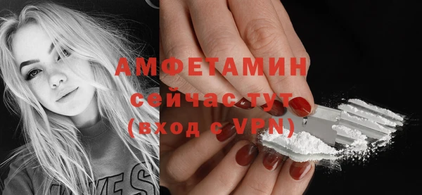 сатива Няндома