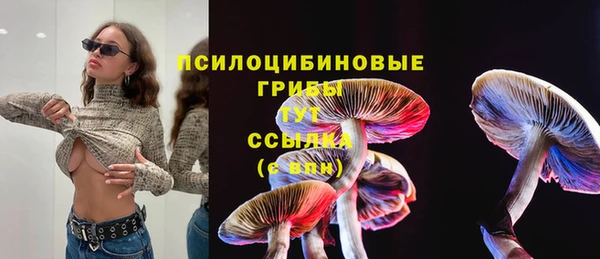 синтетический гашиш Осташков