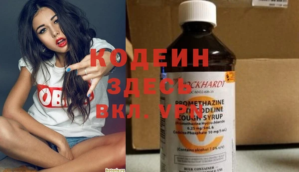 сатива Няндома