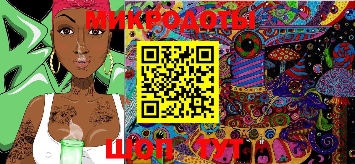 Псилоцибиновые грибы Psilocybe  Тверь 