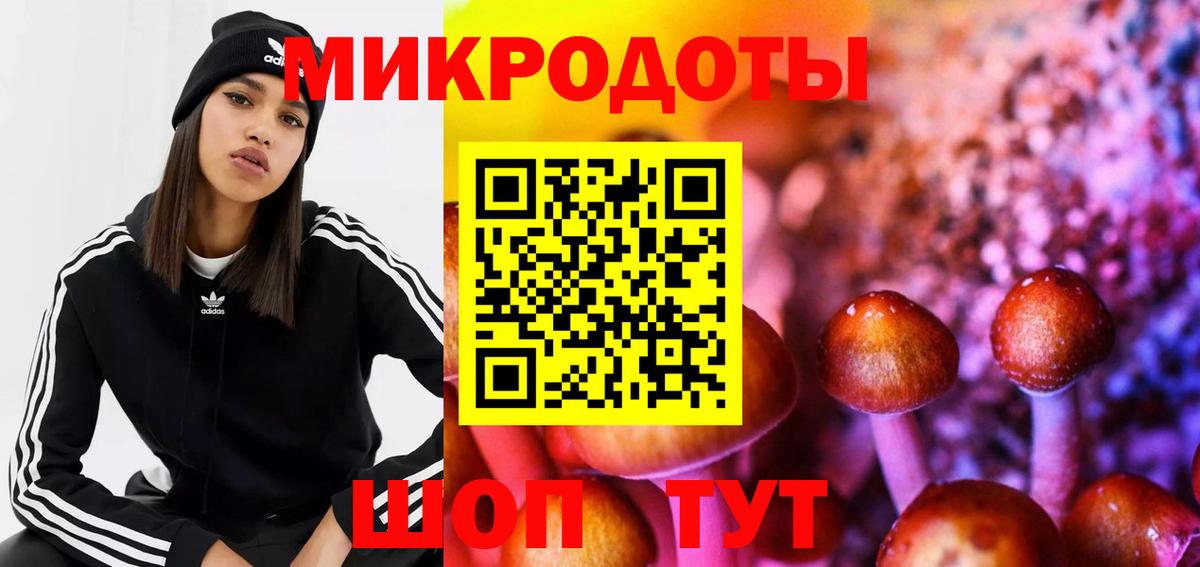 Галлюциногенные грибы Magic Shrooms Тверь